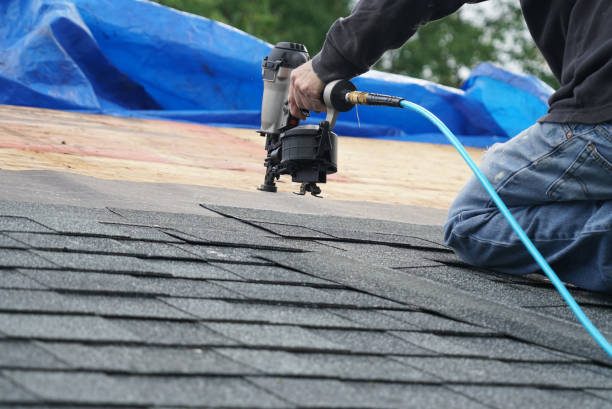Best Roof Maintenance Services  in Heber Springs, AR